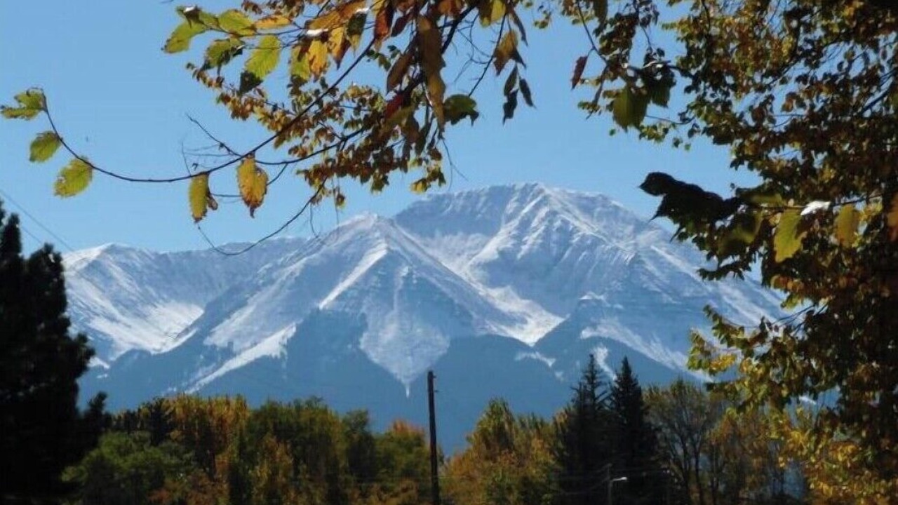 Photo of Others in La Veta