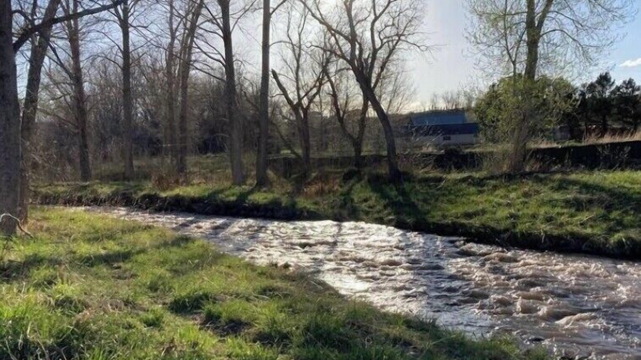 Photo of Others in La Veta