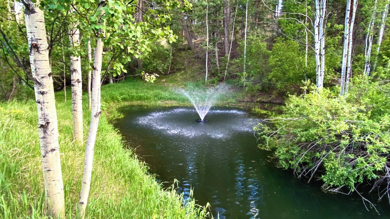 Photo of Outdoor in Woodland Park