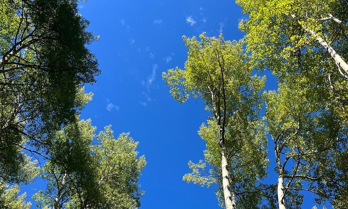 Photo of Outdoor in Intermountain