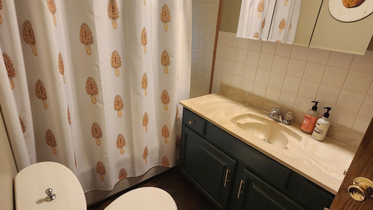 Photo of Bathroom in Nucla