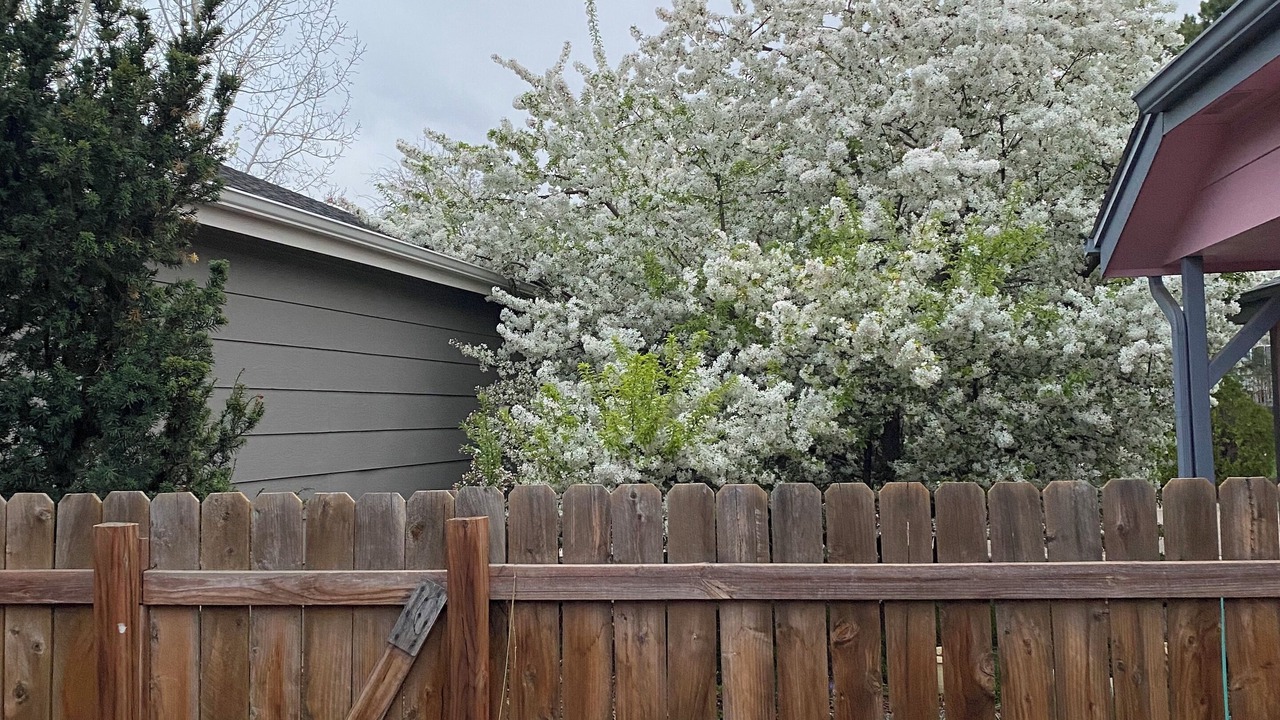 Photo of Outdoor in Lafayette