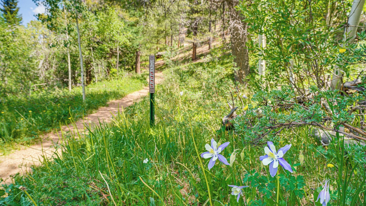 Photo of Outdoor in Bailey