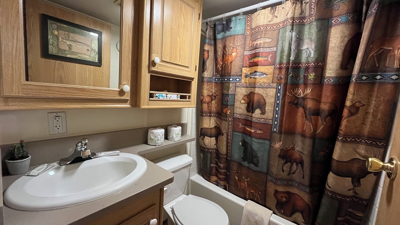 Photo of Bathroom in Almont