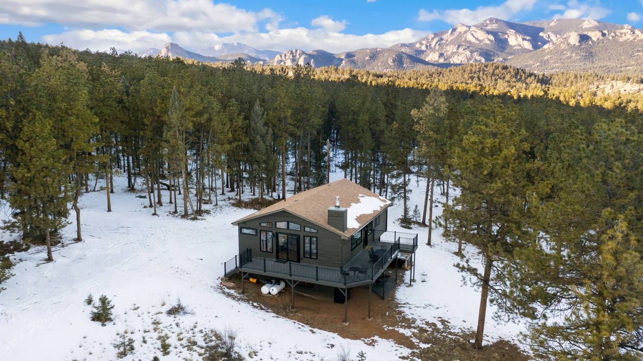 Photo of Others in Pine