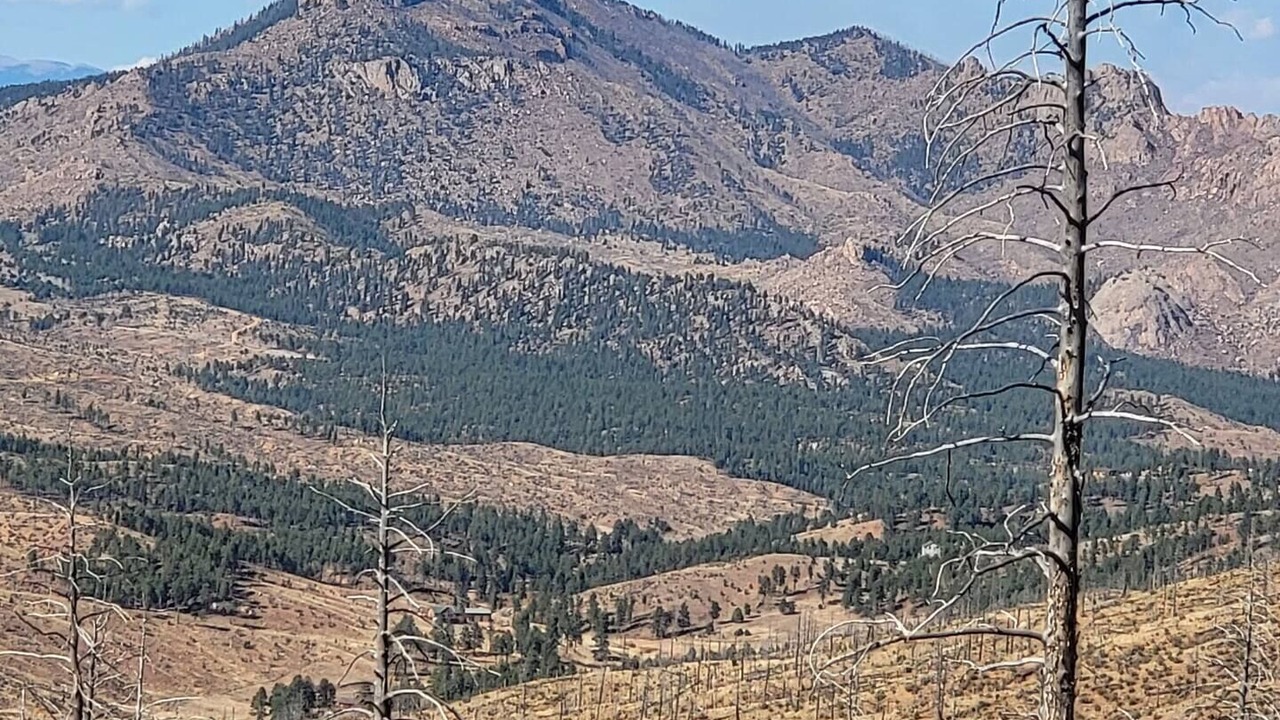 Photo of Others in Colorado Springs