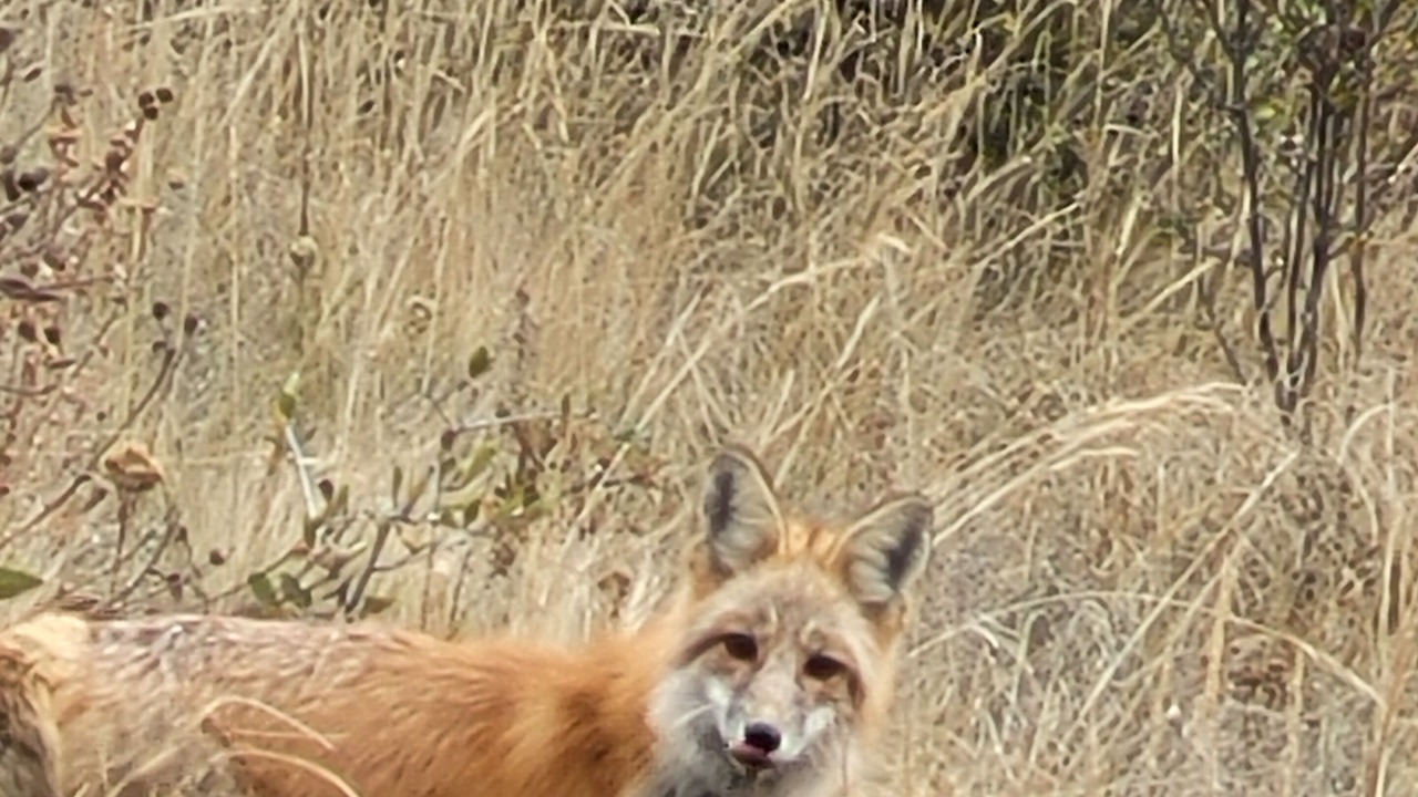 Photo of Others in Idaho Springs