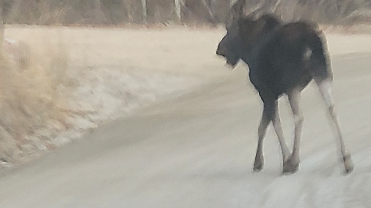 Photo of Others in Idaho Springs