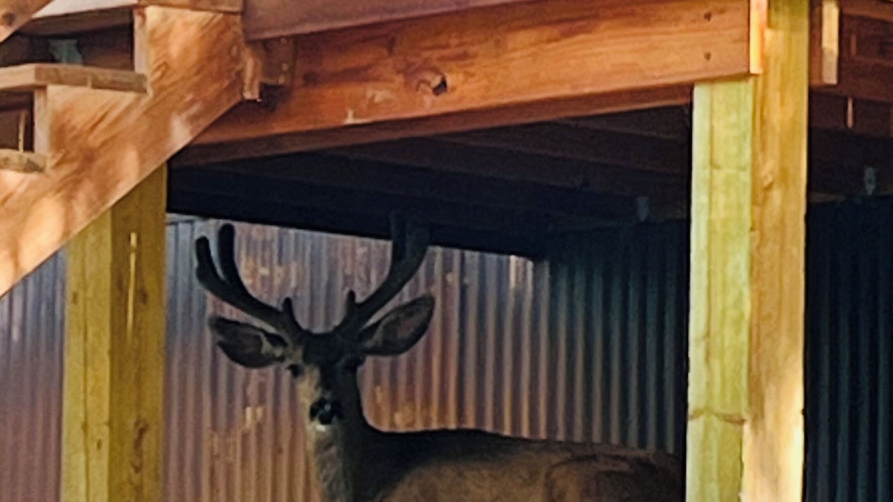 Photo of Outdoor in Ridgway