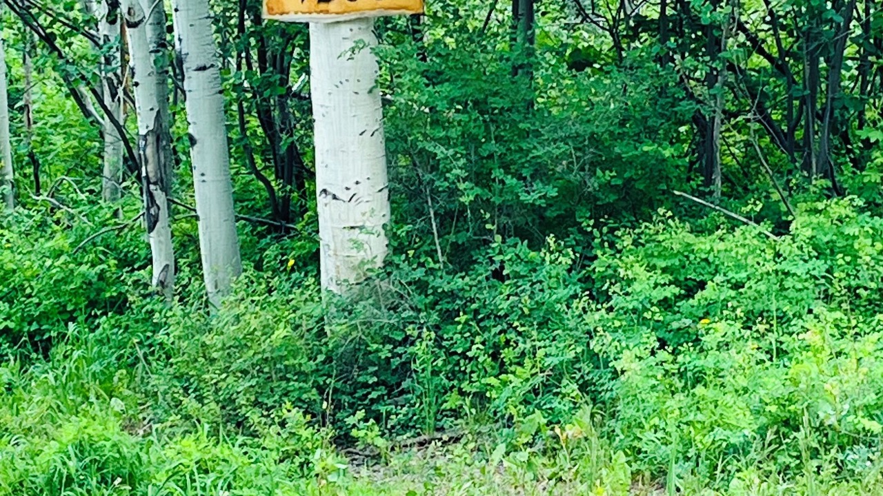 Photo of Outdoor in Ridgway