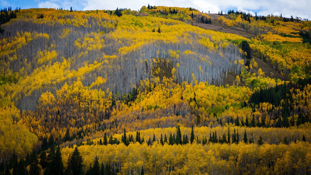 Photo of Outdoor in Crested Butte South