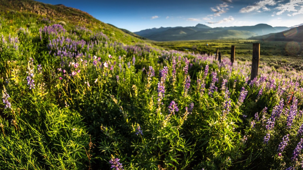 Photo of Bedroom in Crested Butte South