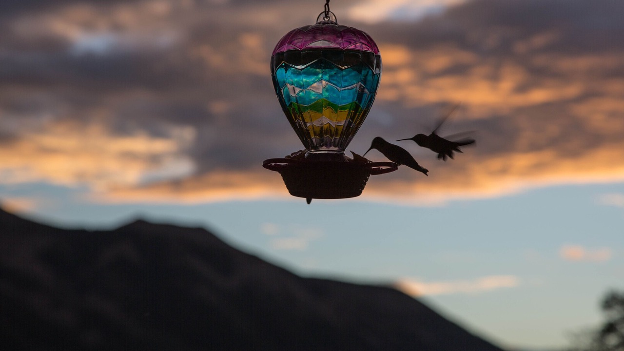 Photo of Others in Crested Butte South