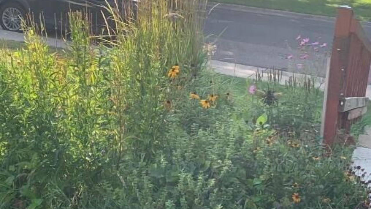 Photo of Outdoor in Northeast Park Hill