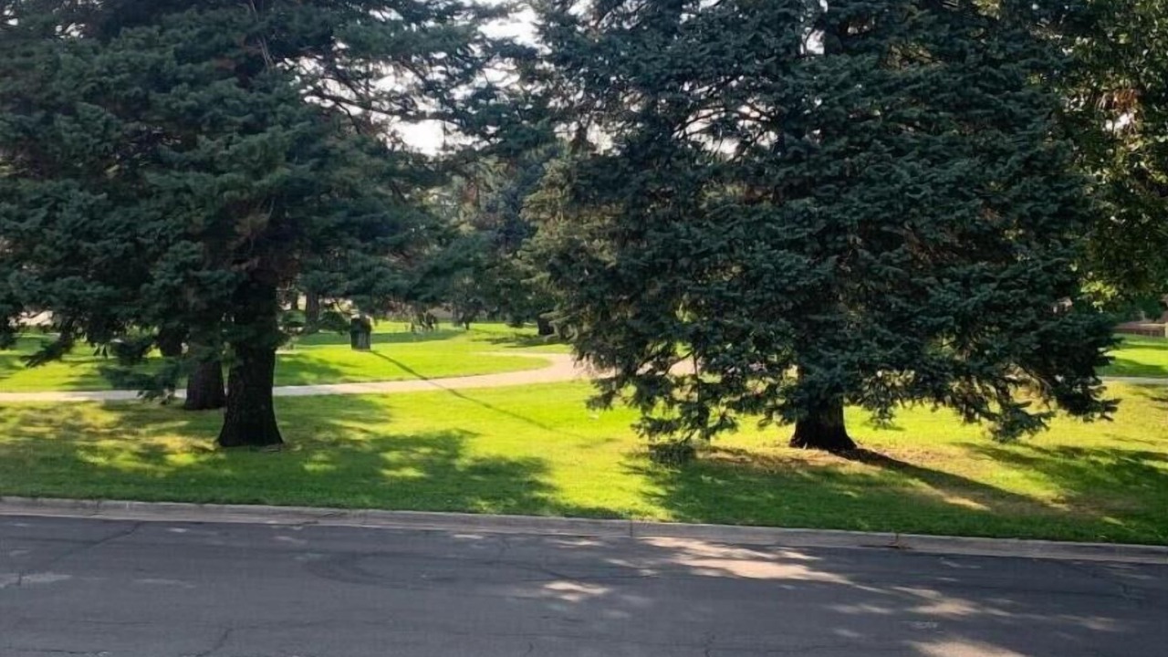 Photo of Others in Northeast Park Hill