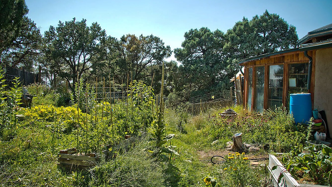 Photo of Outdoor in Baca Grande