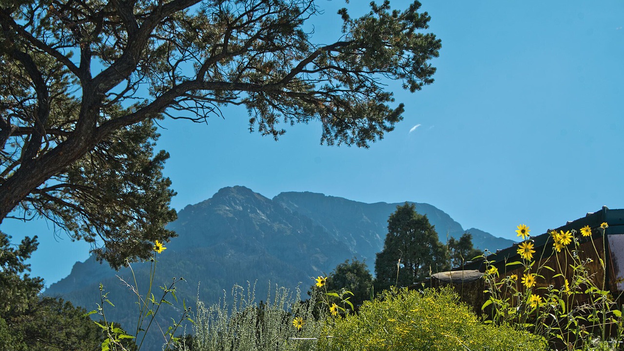 Photo of Outdoor in Baca Grande