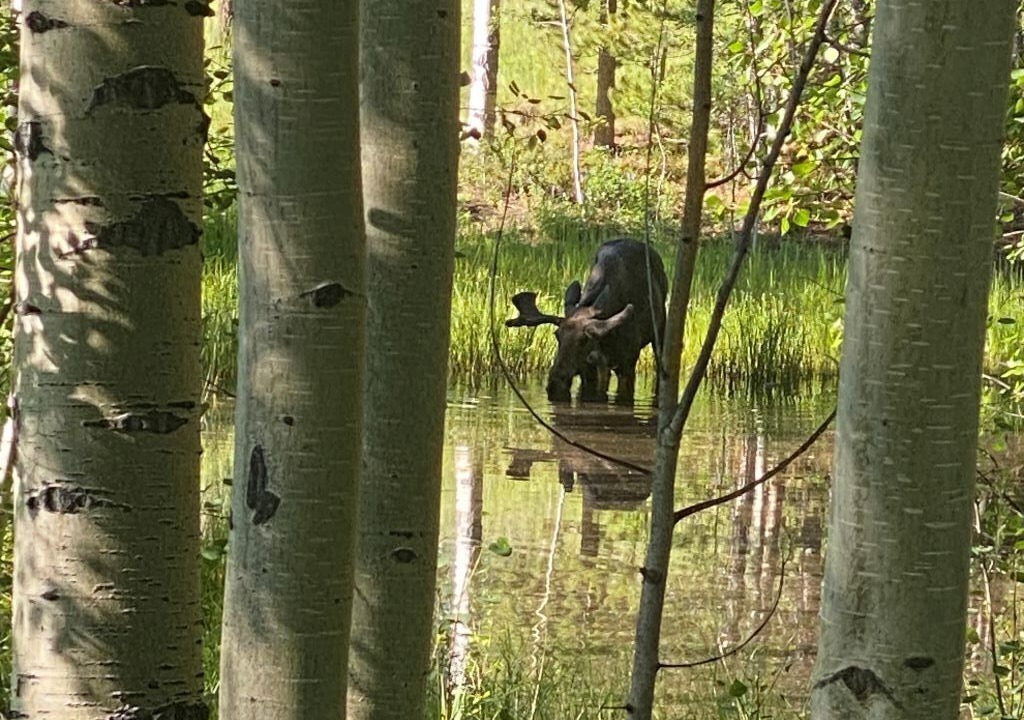 Photo of Outdoor in Silverthorne