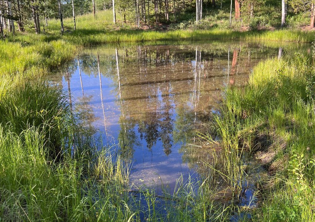 Photo of Outdoor in Silverthorne