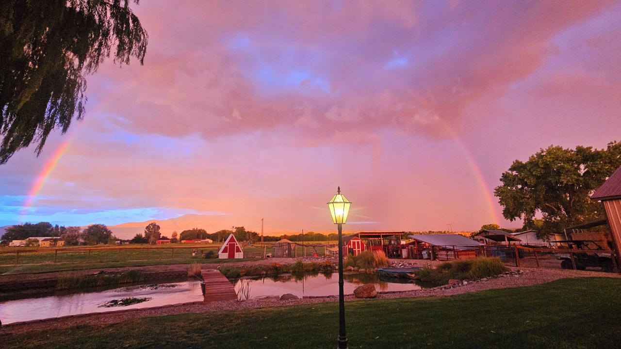 Photo of Outdoor in Clifton