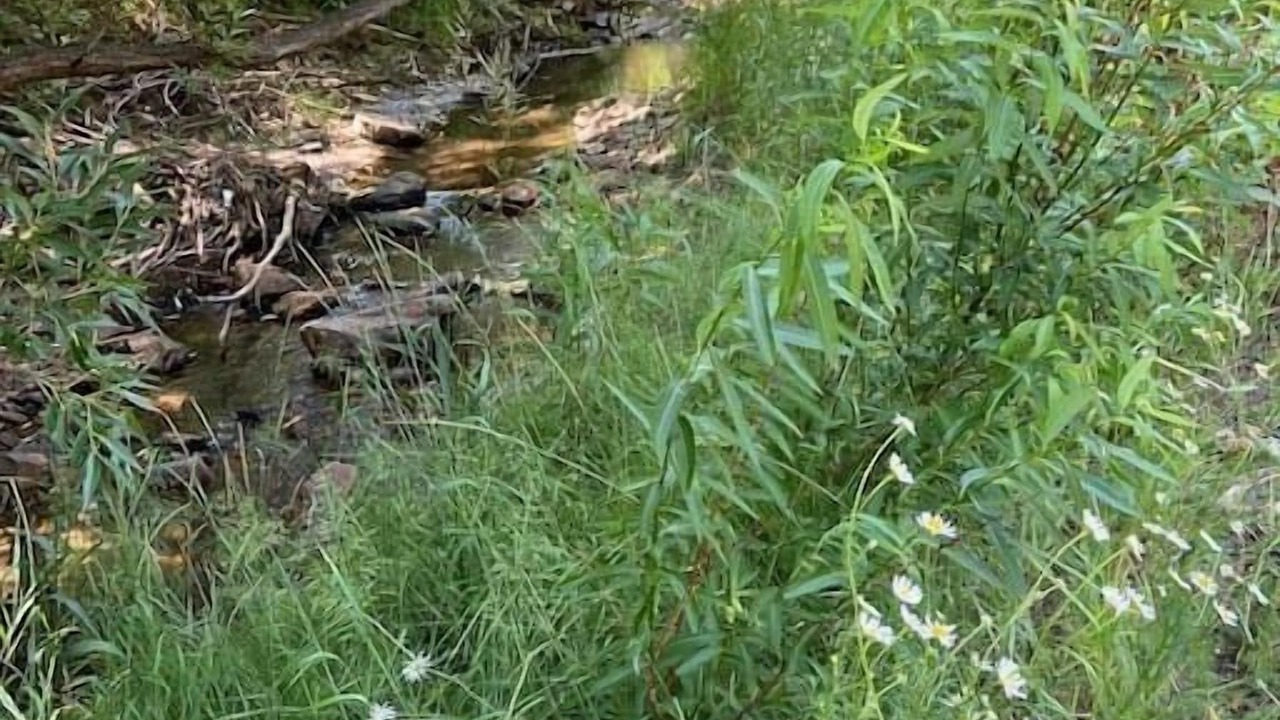 Photo of Outdoor in Coal Creek Canyon