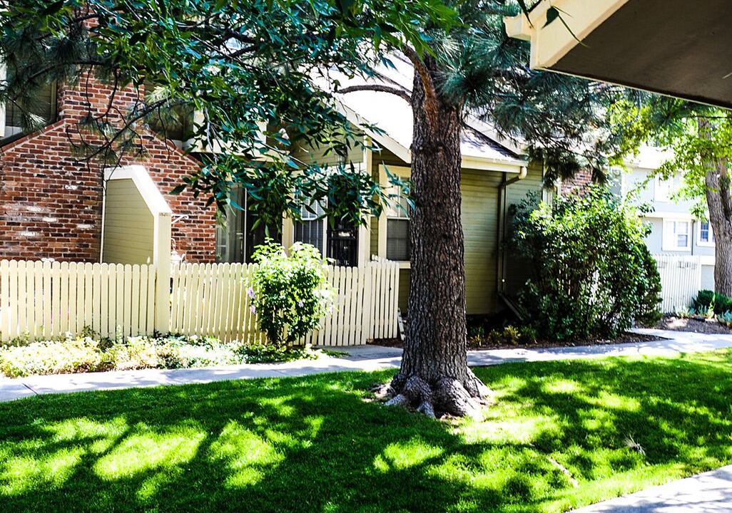 Photo of Outdoor in Aurora