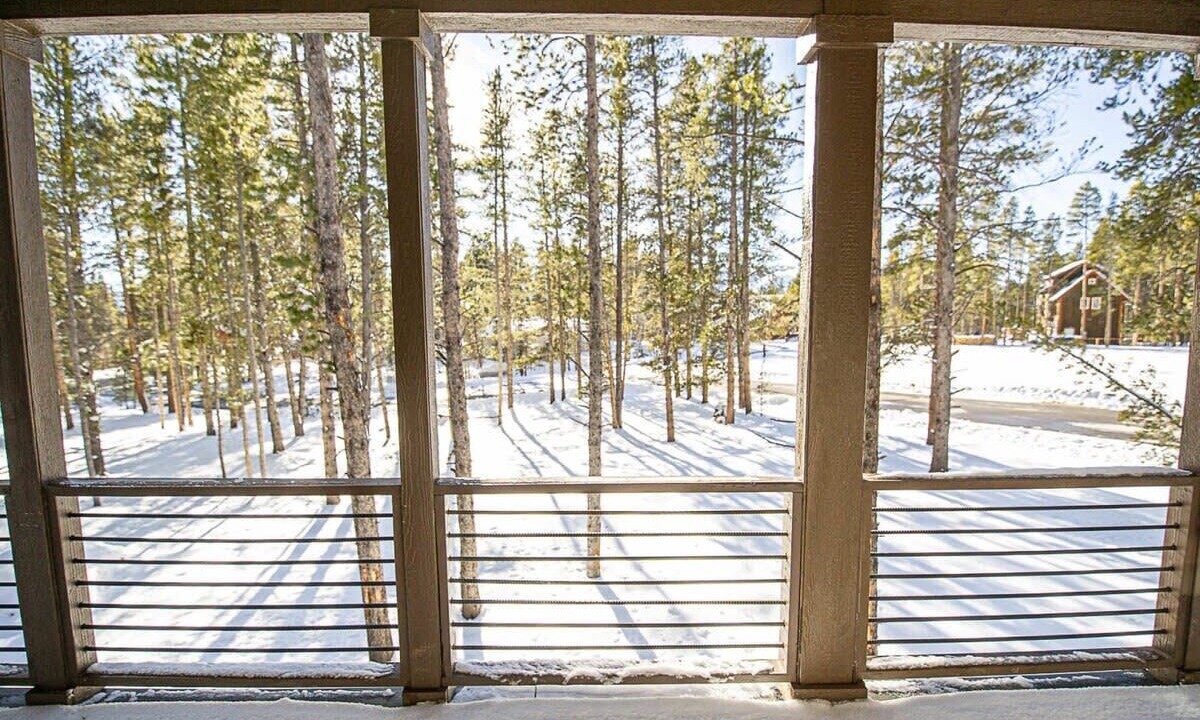 Photo of Others in Leadville North