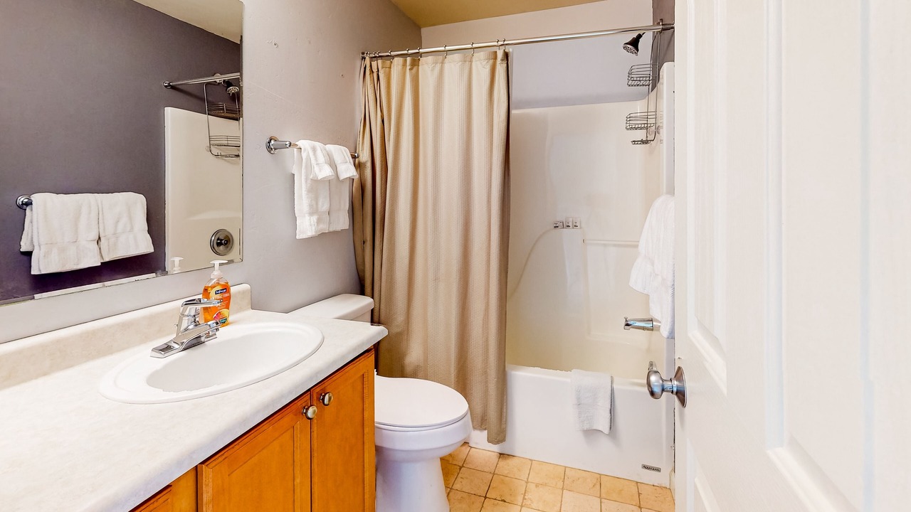 Photo of Bathroom in Basalt