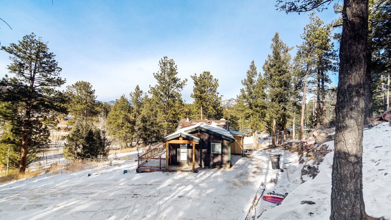 Photo of Outdoor in Pine