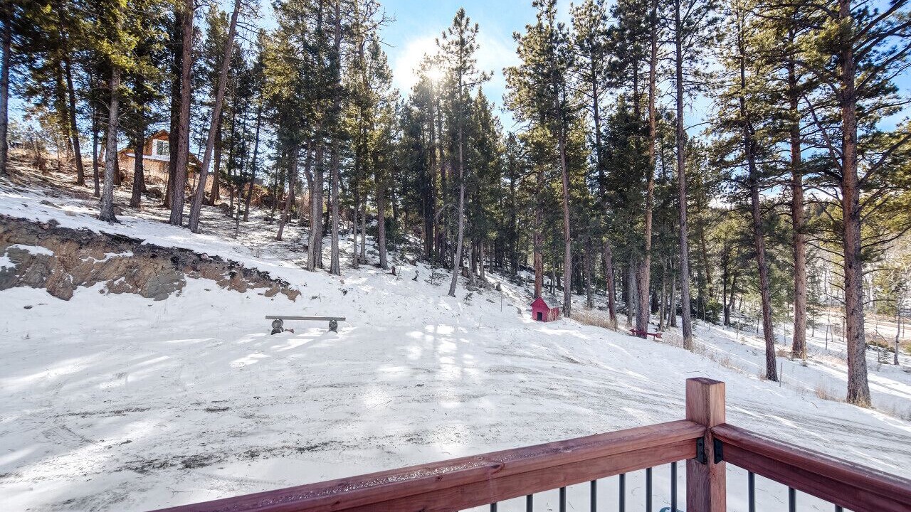 Photo of Outdoor in Pine