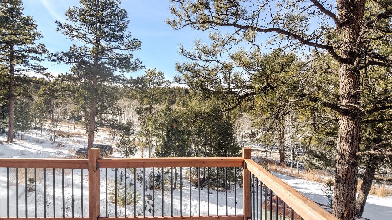 Photo of Outdoor in Pine