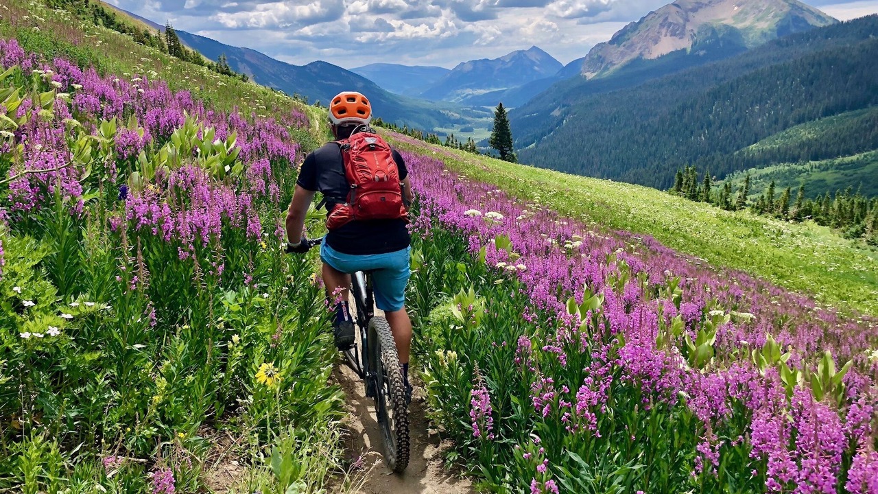 Photo of Others in Crested Butte