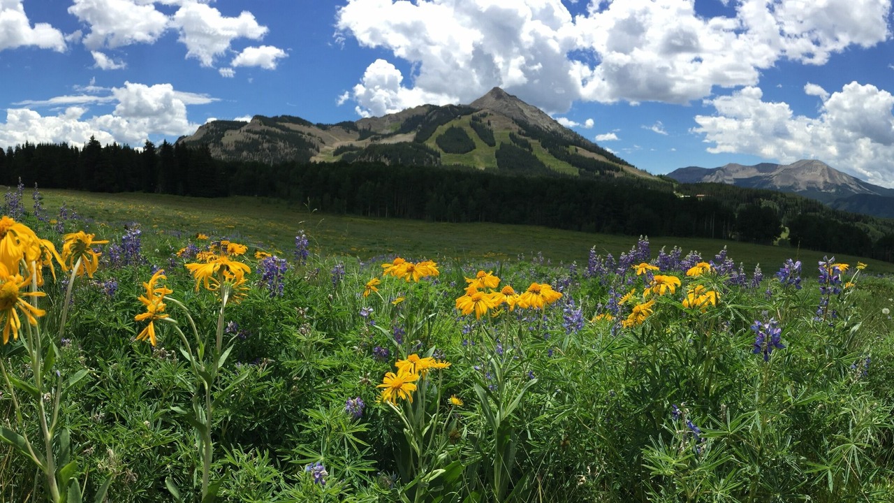 Photo of Others in Crested Butte