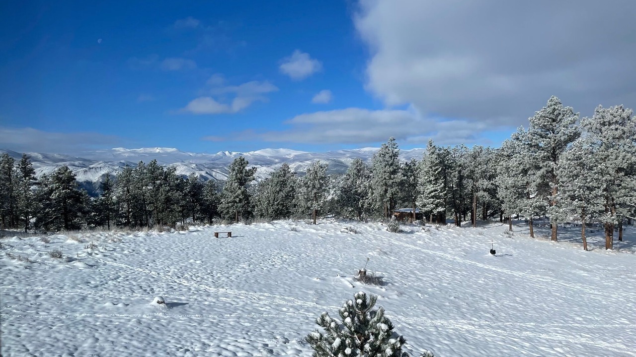 Photo of Others in Glacier View Meadows