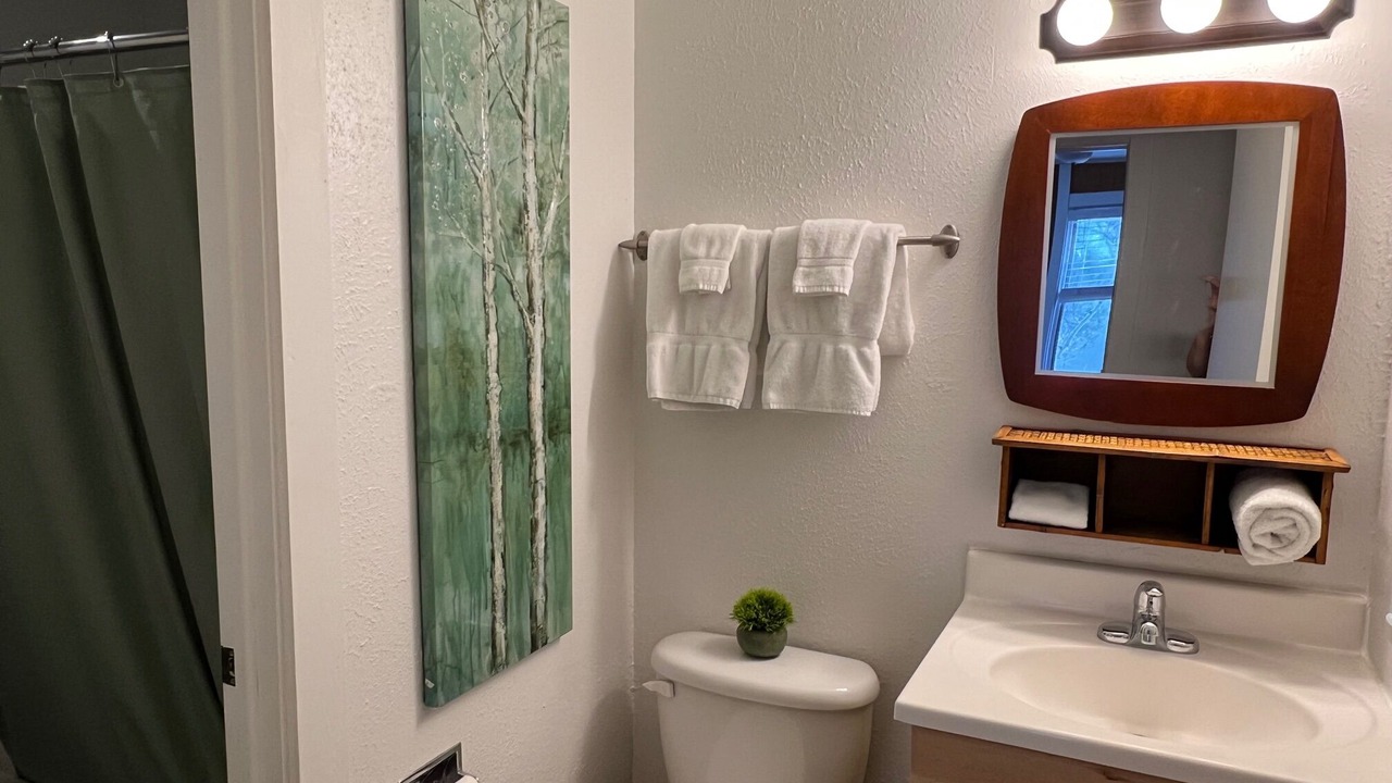 Photo of Bathroom in Peak 8