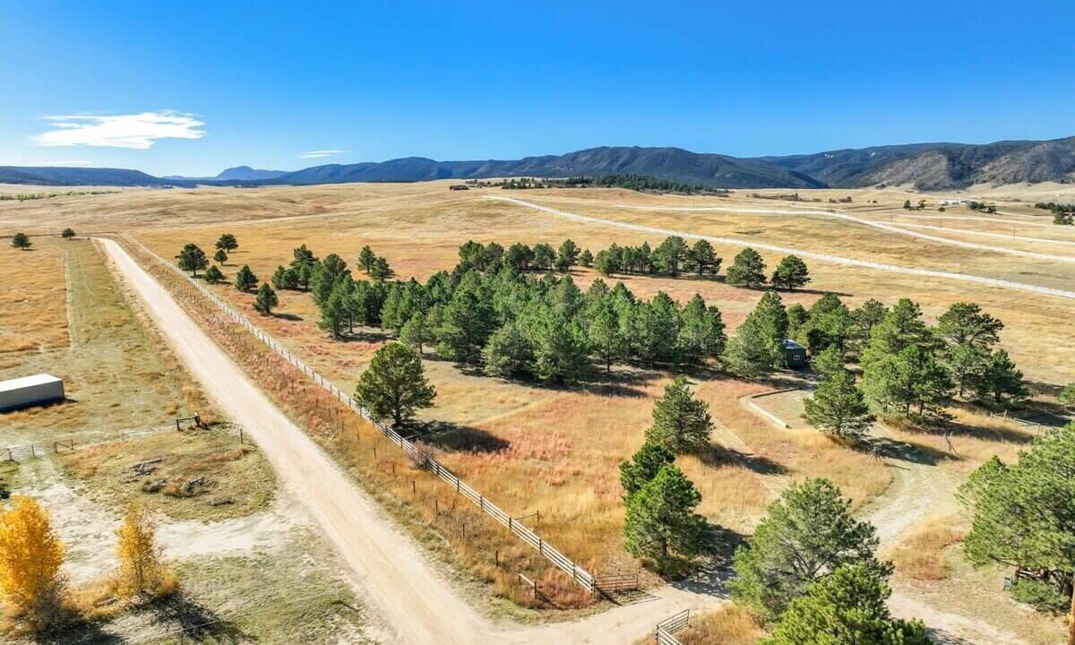 Photo of Outdoor in Larkspur
