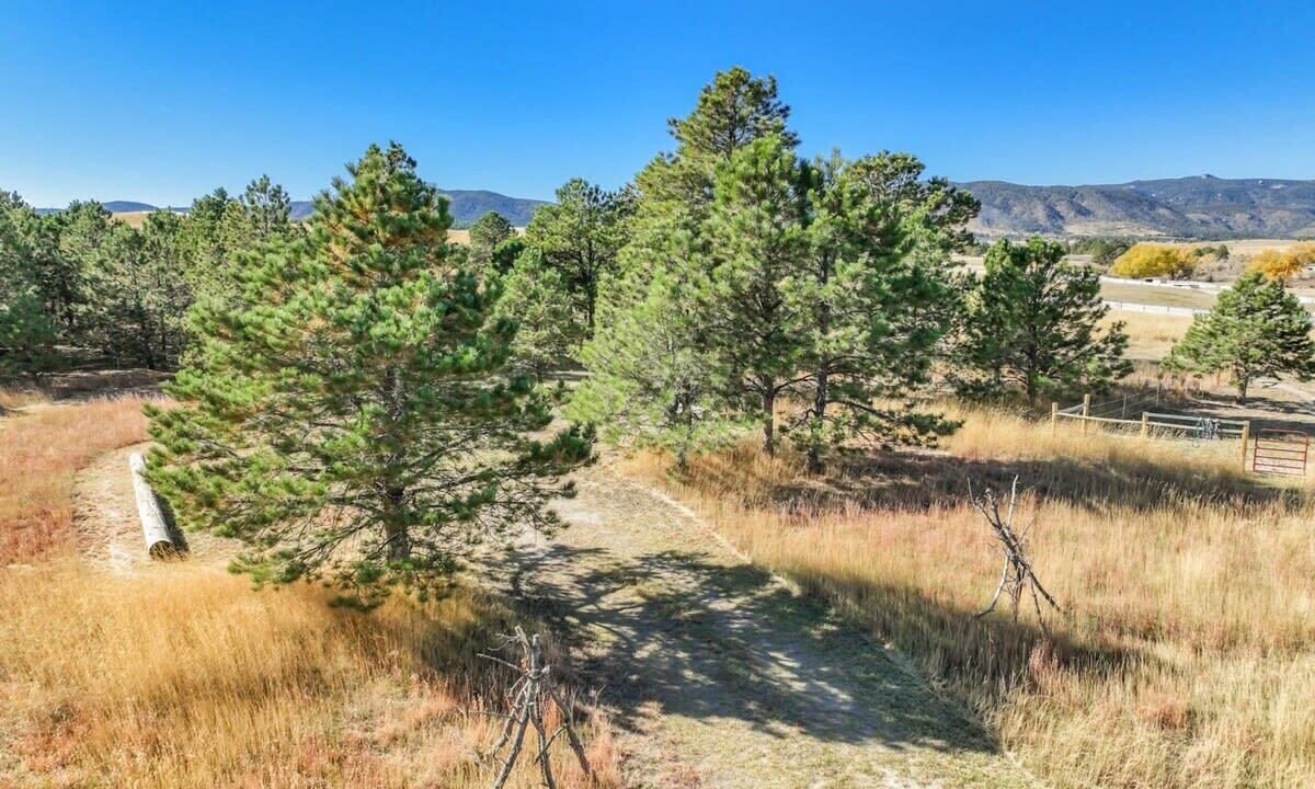Photo of Outdoor in Larkspur