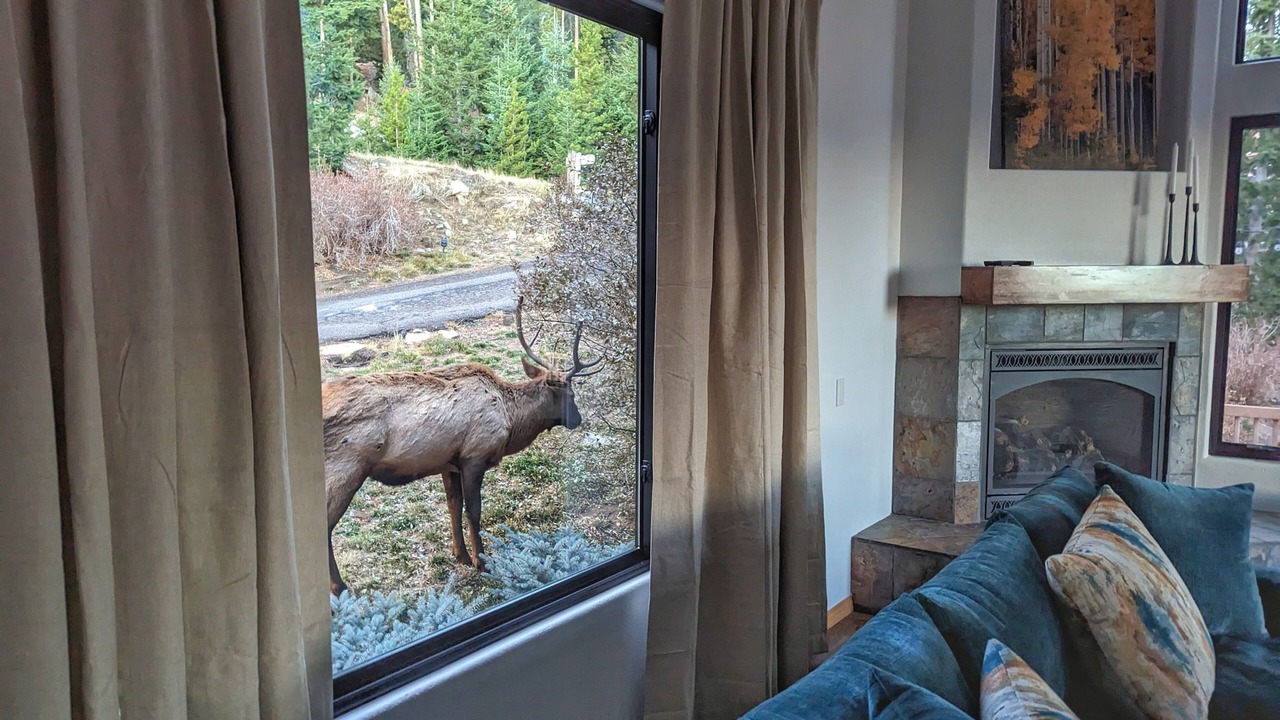 Photo of Others in Evergreen