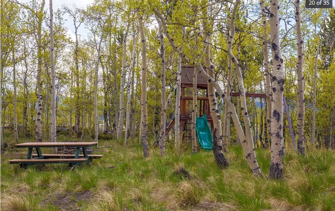 Photo of Others in Alma