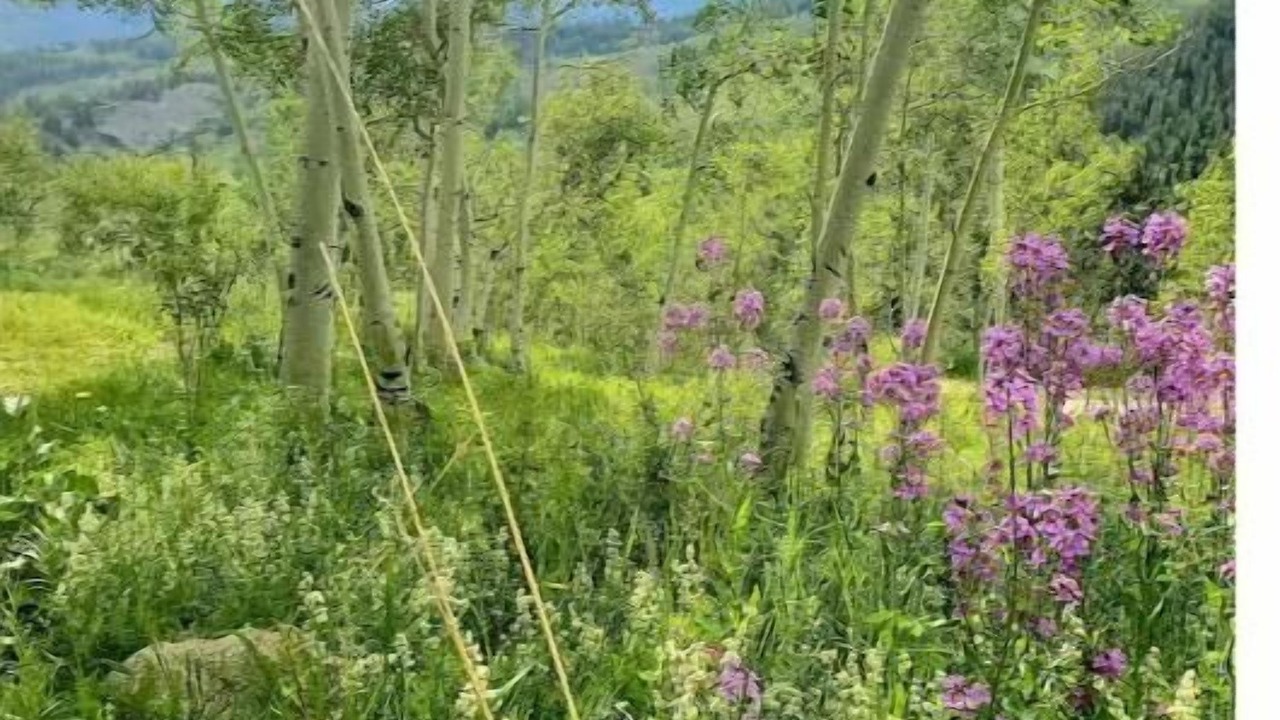 Photo of Outdoor in Silverthorne