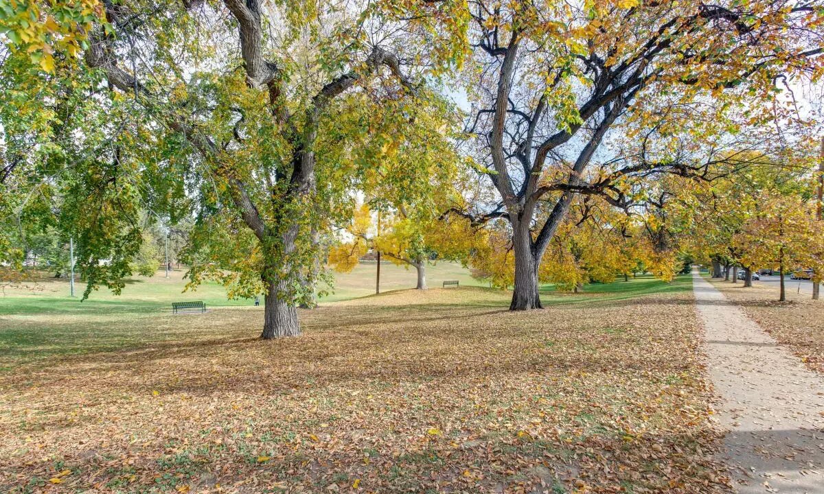 Photo of Others in Sloan Lake