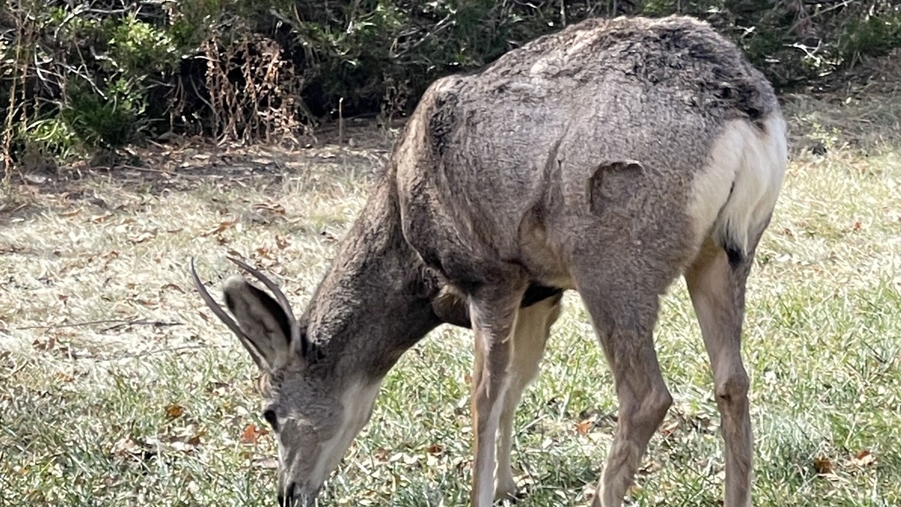 Photo of Outdoor in Colorado Springs