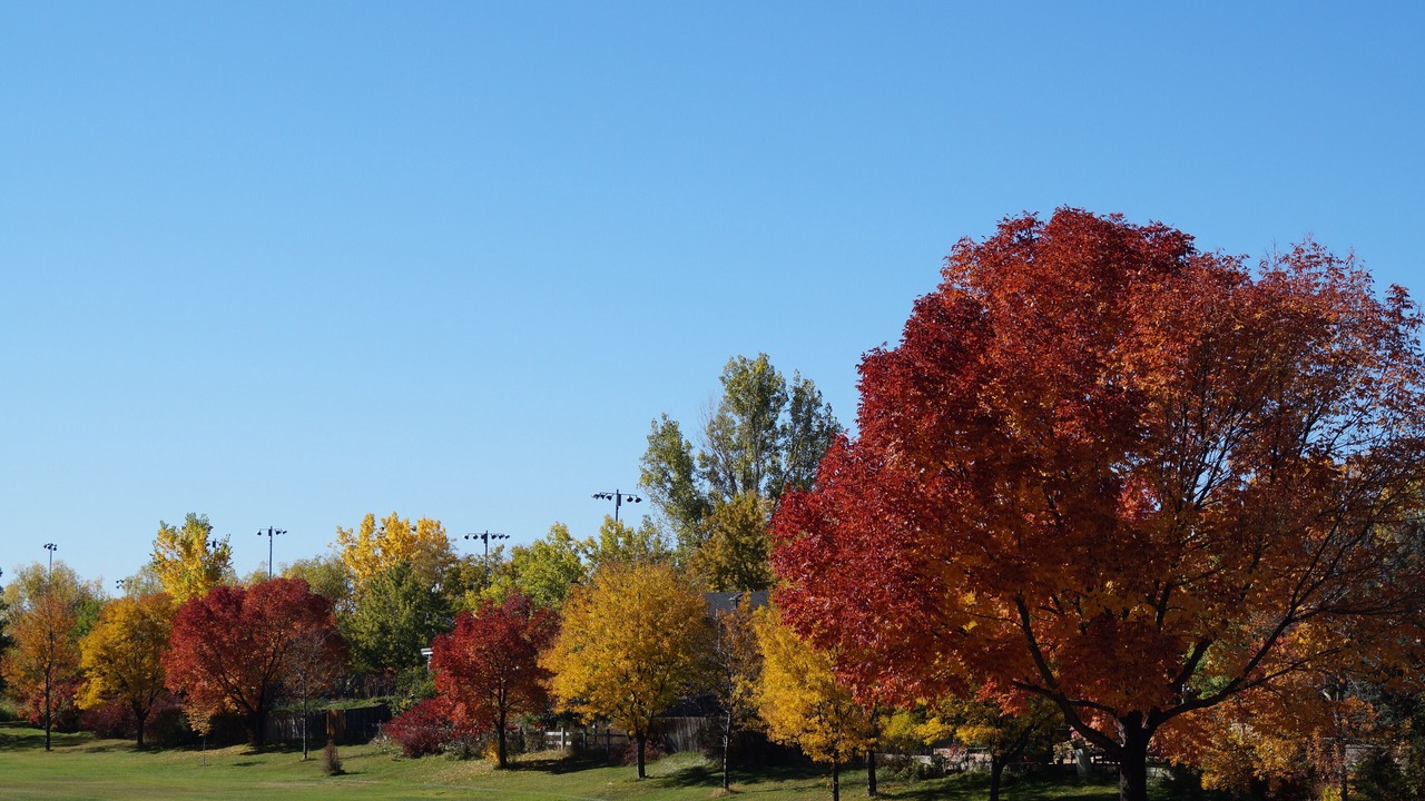 Photo of Others in Longmont