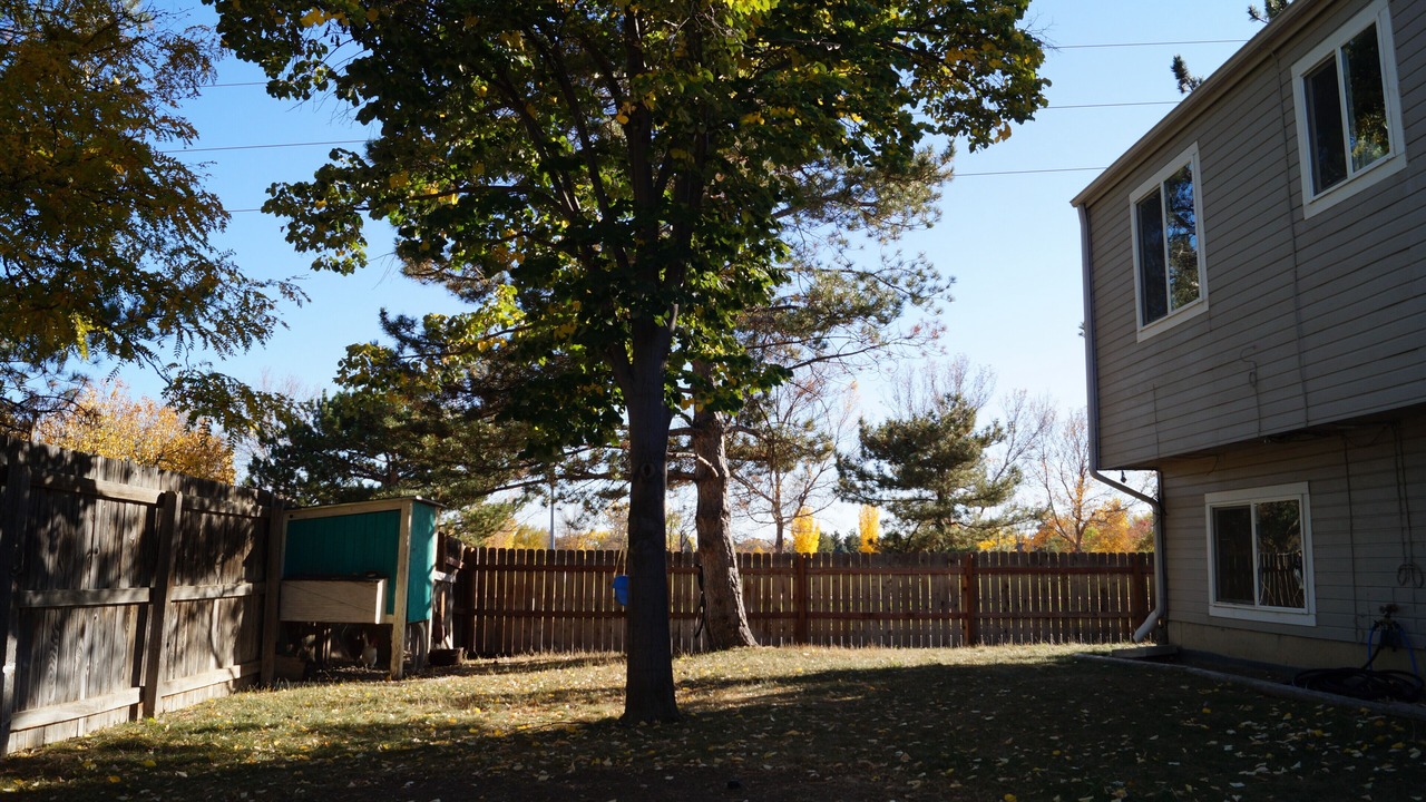 Photo of Outdoor in Longmont