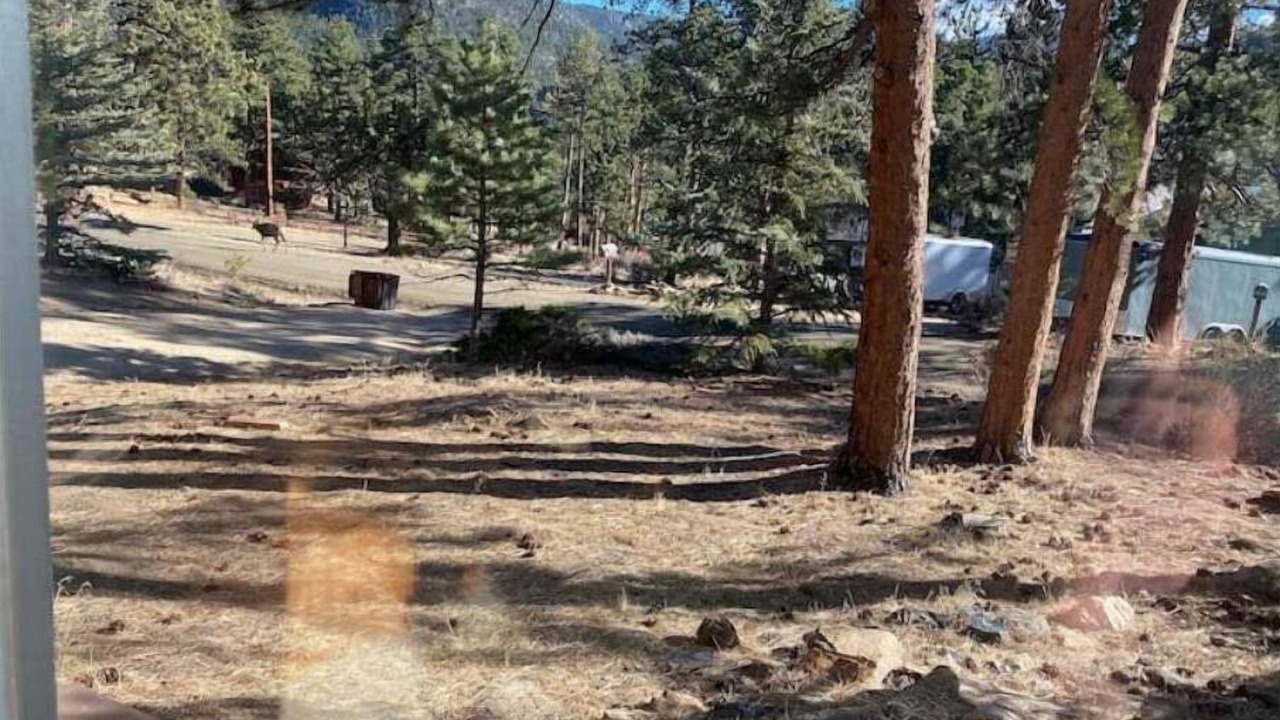Photo of Outdoor in Carriage Hills