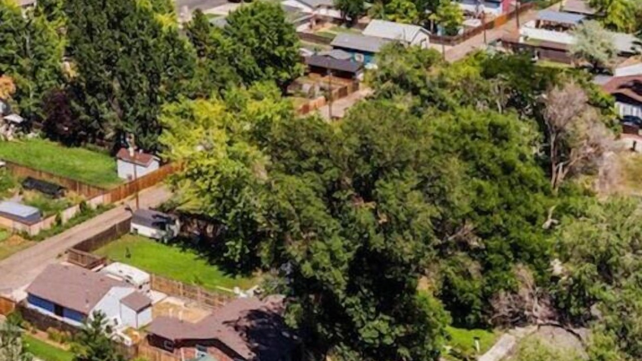 Photo of Outdoor in Loveland