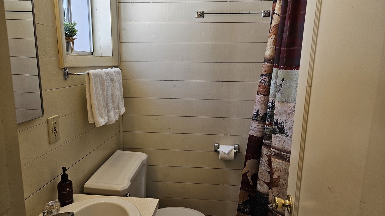 Photo of Bathroom in Nathrop