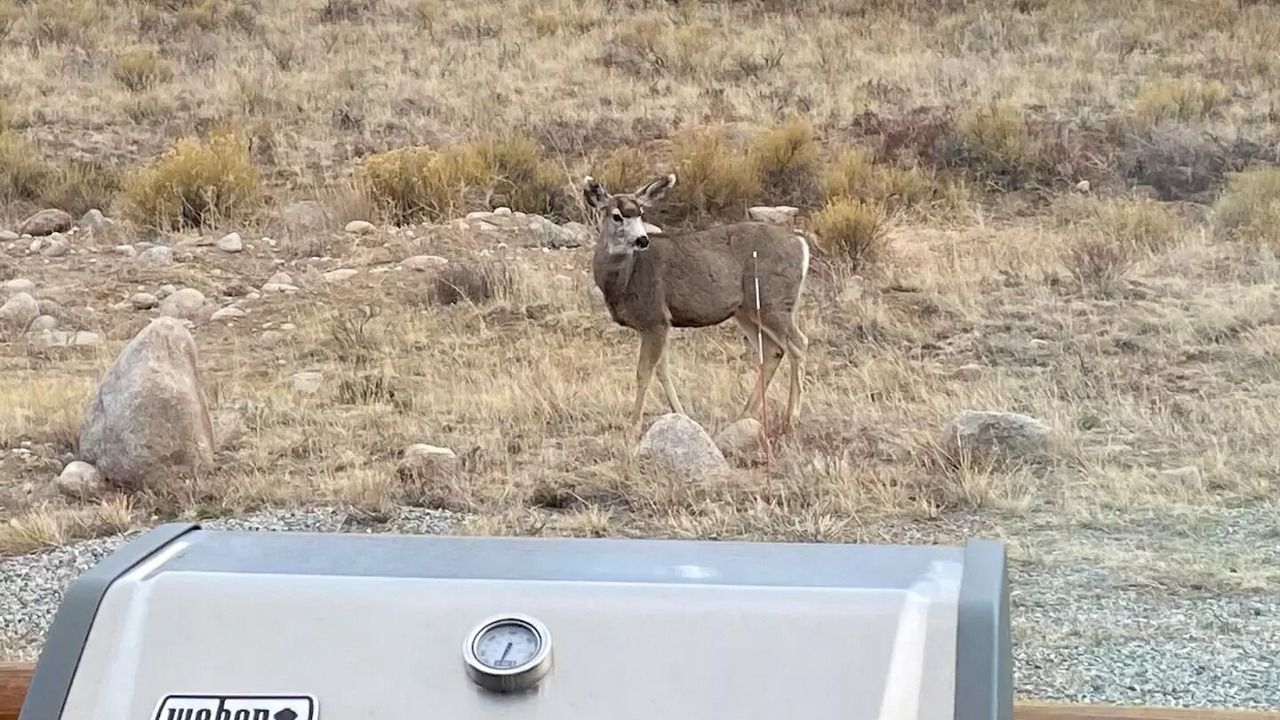 Photo of Others in Nathrop