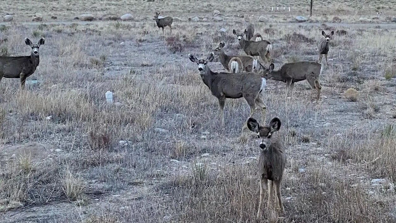 Photo of Others in Nathrop