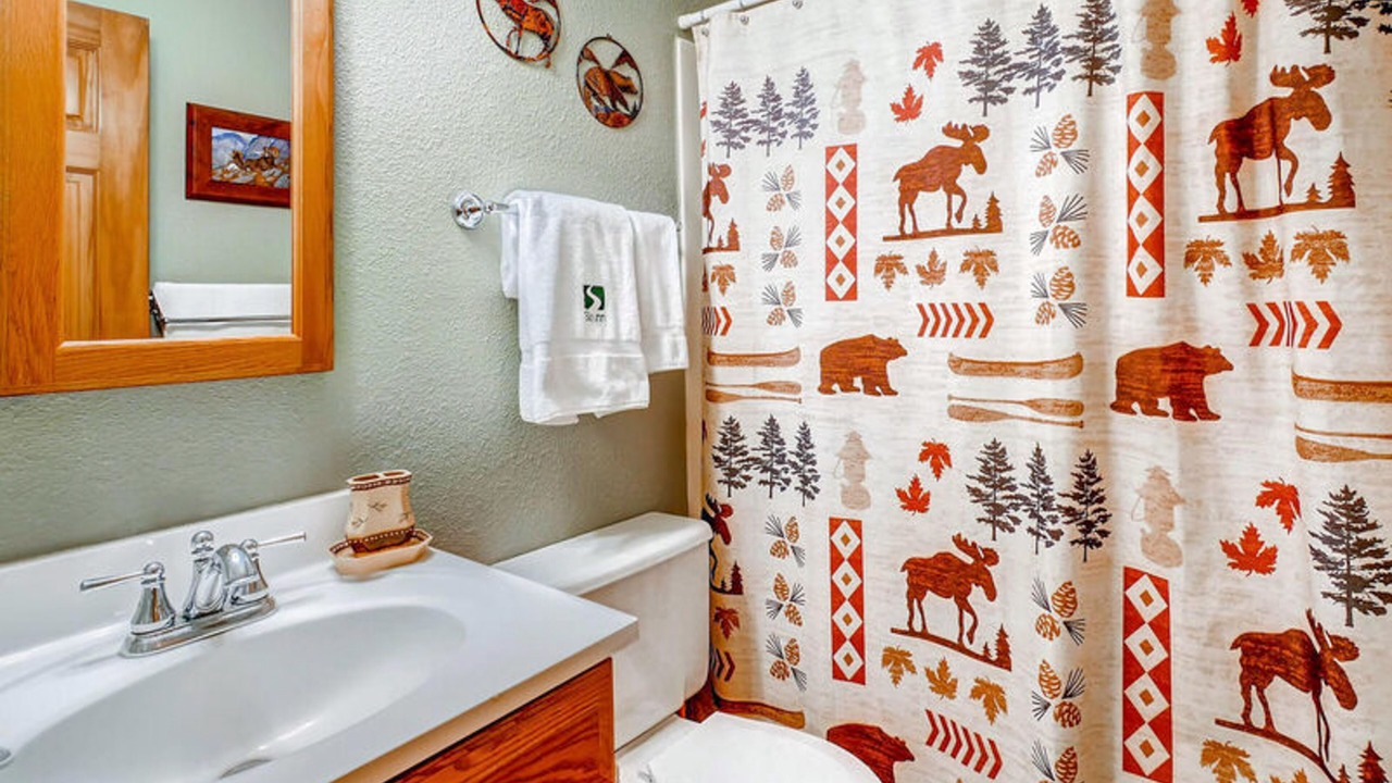 Photo of Bathroom in Steamboat Springs